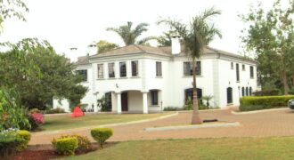 RUNDA HOUSE